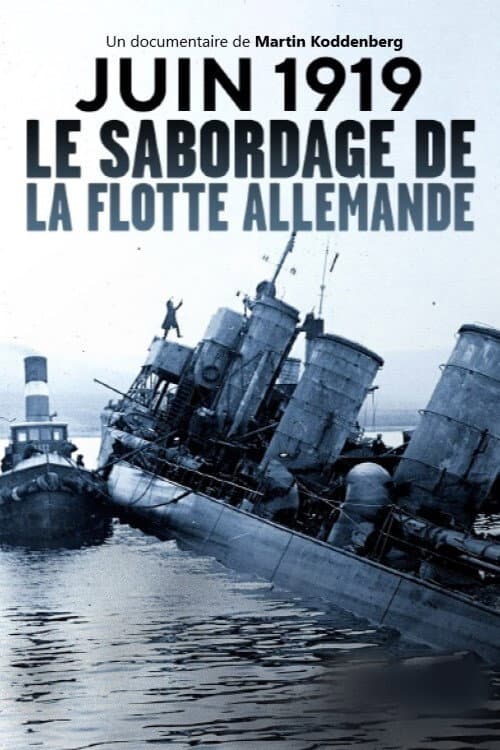 Dreadnought Destruction: Sinking the German High Seas Fleet