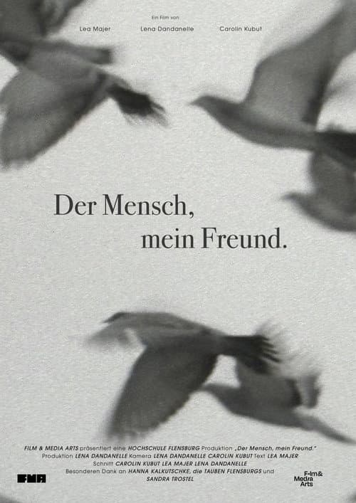 We Used to Be Friends.
