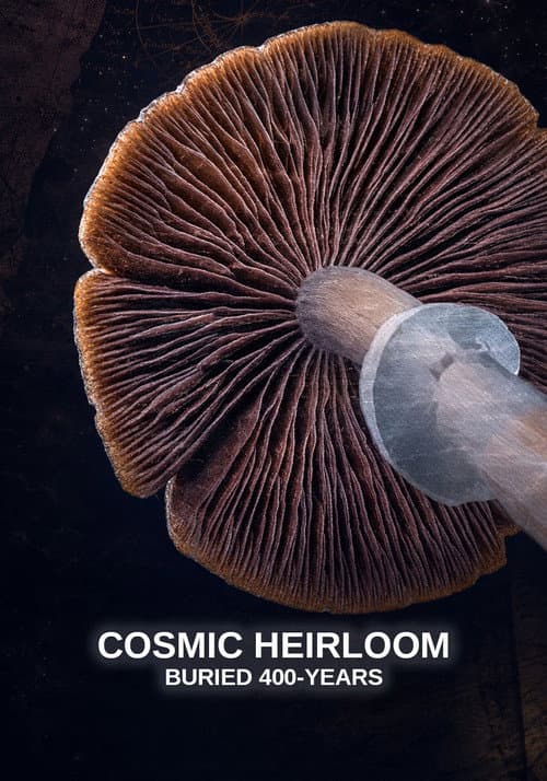 Cosmic Heirloom: Buried 400 Years
