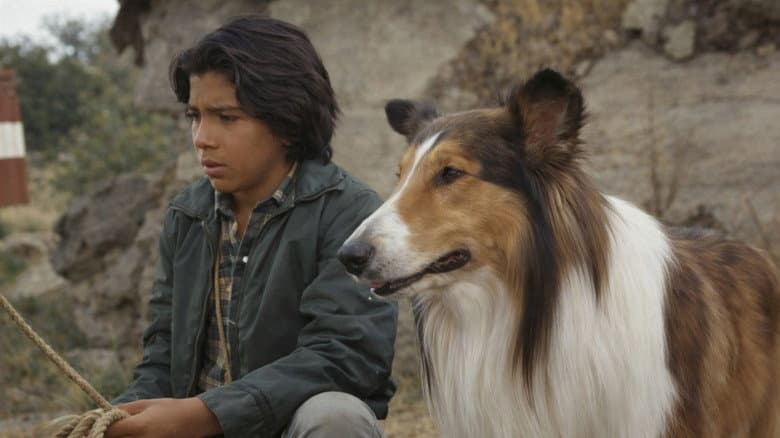 Lassie: The Adventures of Neeka