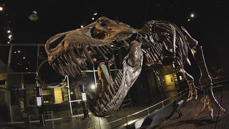 Dinosaur Extinction: Behind the Asteroid Impact Theory