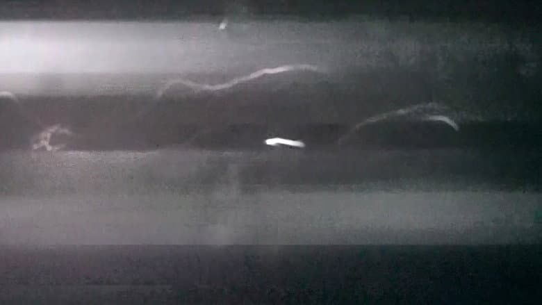 vejo você nos galhos dessa noite