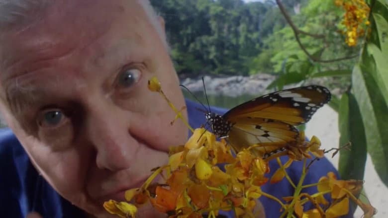 David Attenborough's Conquest of the Skies
