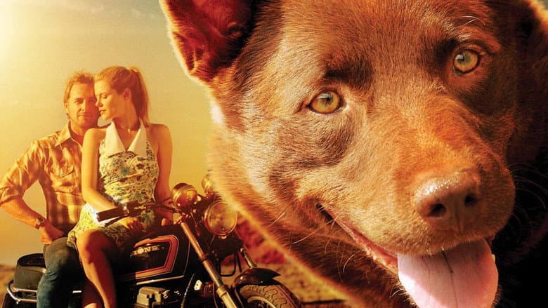 Red Dog