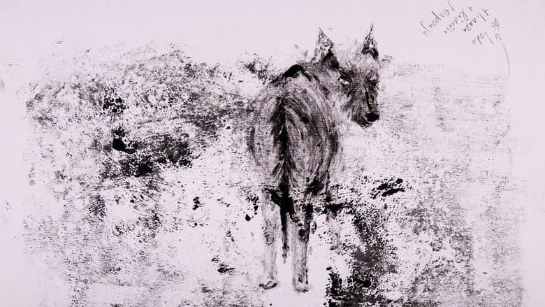 decay
