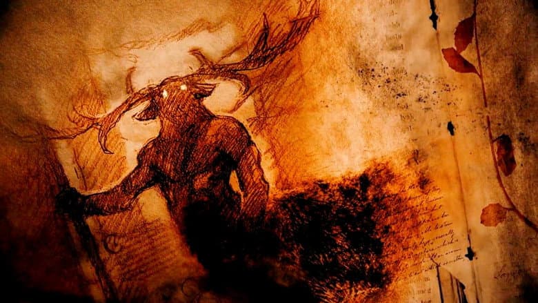 Des bêtes et des sorcières