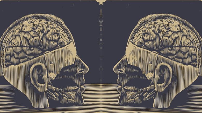 Lobotomy, or the Blinding Creation of Moniz